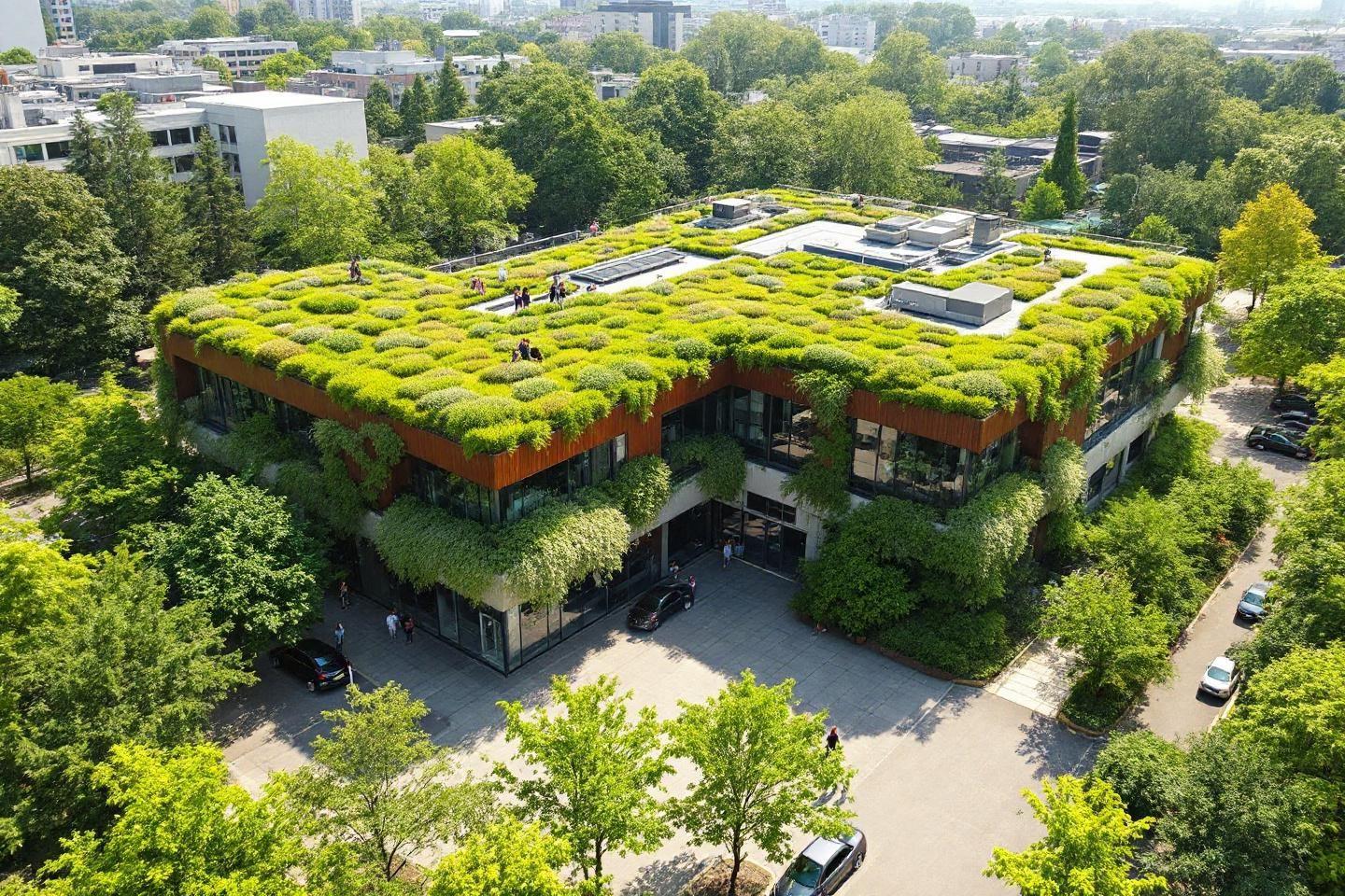 Toiture maison en L : quelle solution végétalisée choisir pour votre maison neuve ?